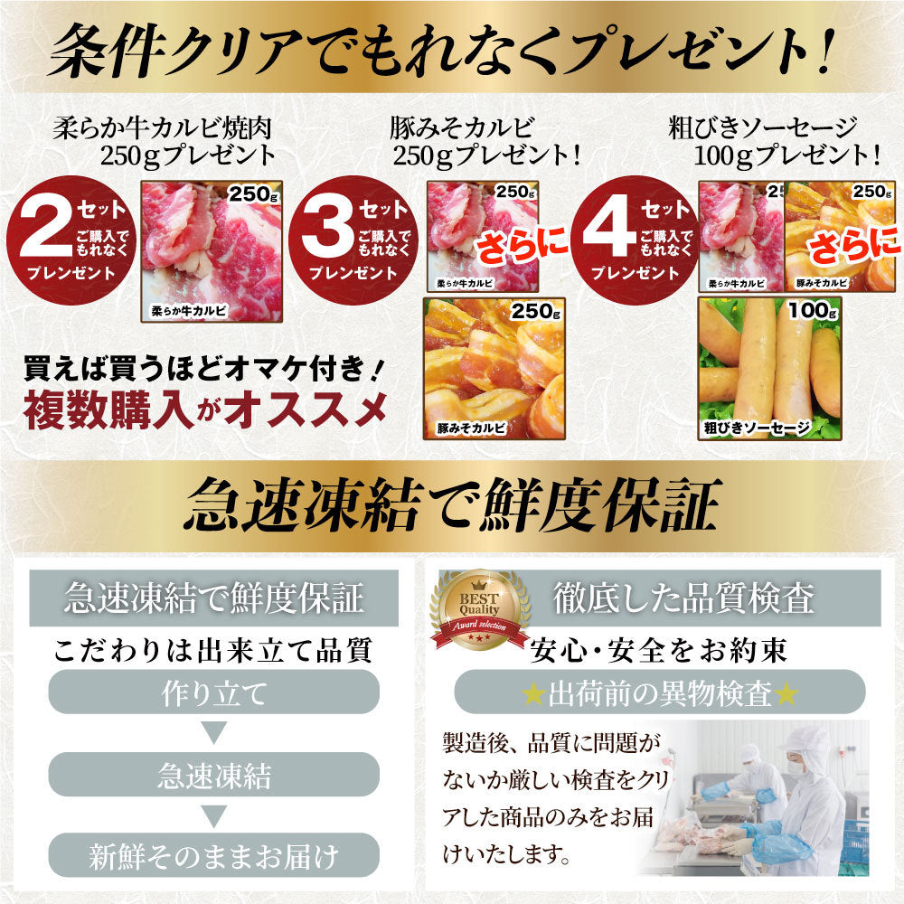 肉の福袋 ブロンズ メガ盛り 総重量2.6kg（7種 食べ比べ) 牛肉 焼肉セット 焼肉 ソーセージ ハンバーグ