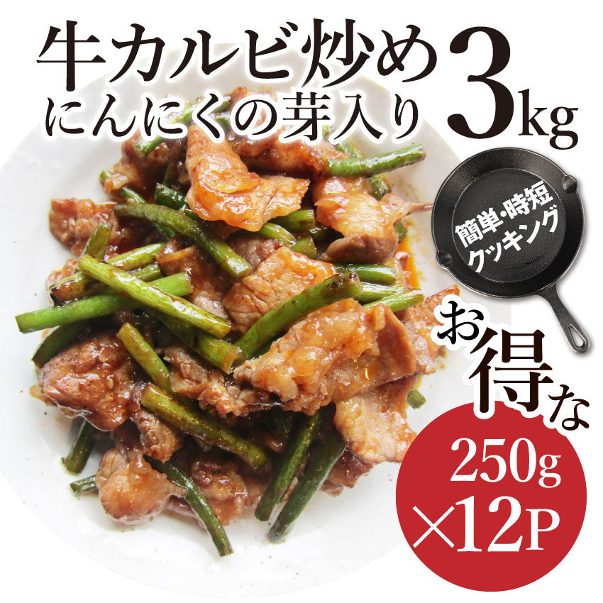 牛カルビ 炒め にんにくの芽入り BBQ味 3kg 250g×12P 炒めるだけ 簡単 時短 焼肉 牛肉 オードブル パーティー キャンプ キャンプ飯