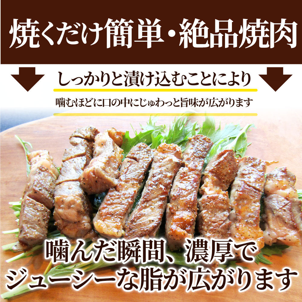 牛肉 肉 焼肉 鬼スパイシーひとくちガーリックステーキ 250g赤身 贅沢 おトク お徳用 あす楽 肉 通販 グルメ アウトドア お家焼肉