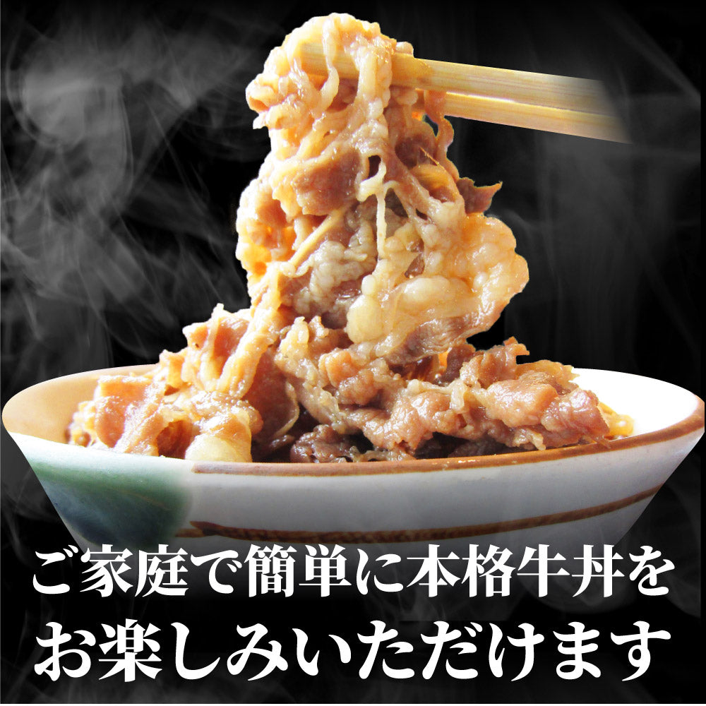 牛丼 牛丼の具 30個セット お肉屋さんのこだわり たっぷり牛肉の簡単牛丼 1食120g