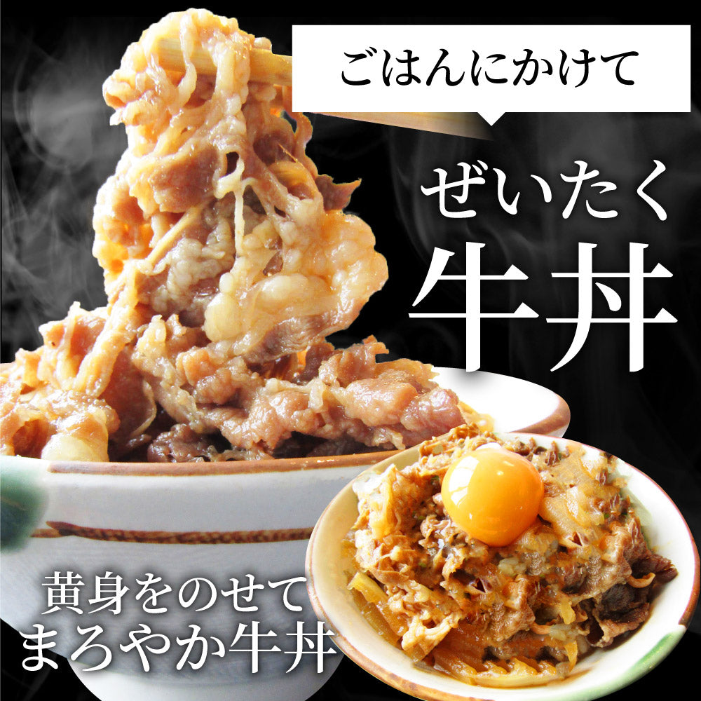 牛丼 牛丼の具 40個セット お肉屋さんのこだわり たっぷり牛肉の簡単牛丼 1食120g