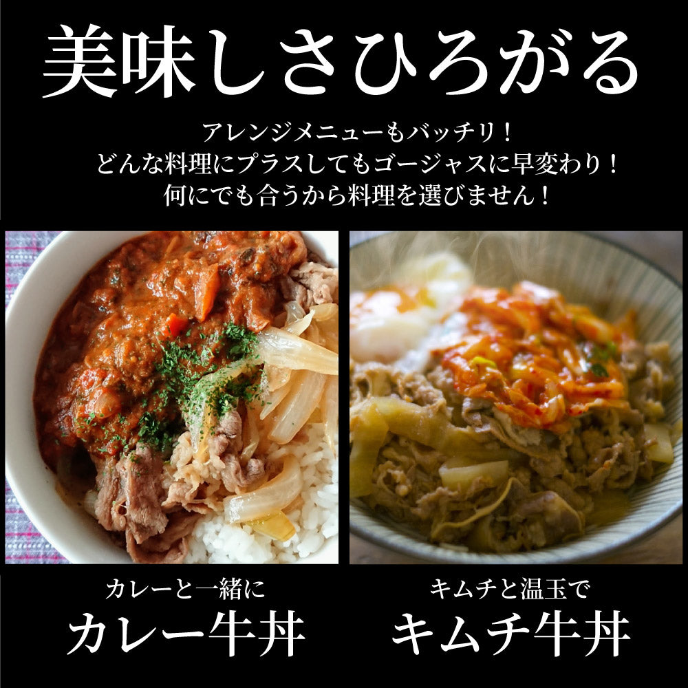 牛丼 牛丼の具 40個セット お肉屋さんのこだわり たっぷり牛肉の簡単牛丼 1食120g