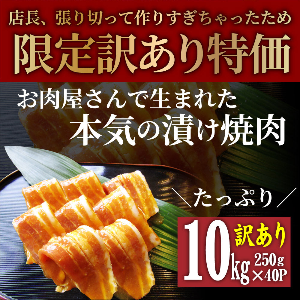 訳あり ごまみそ 豚カルビ 焼肉 メガ盛り 10kg (250g×40) 秘伝 タレ漬け お肉屋さんの本気の焼肉 豚肉 小分け