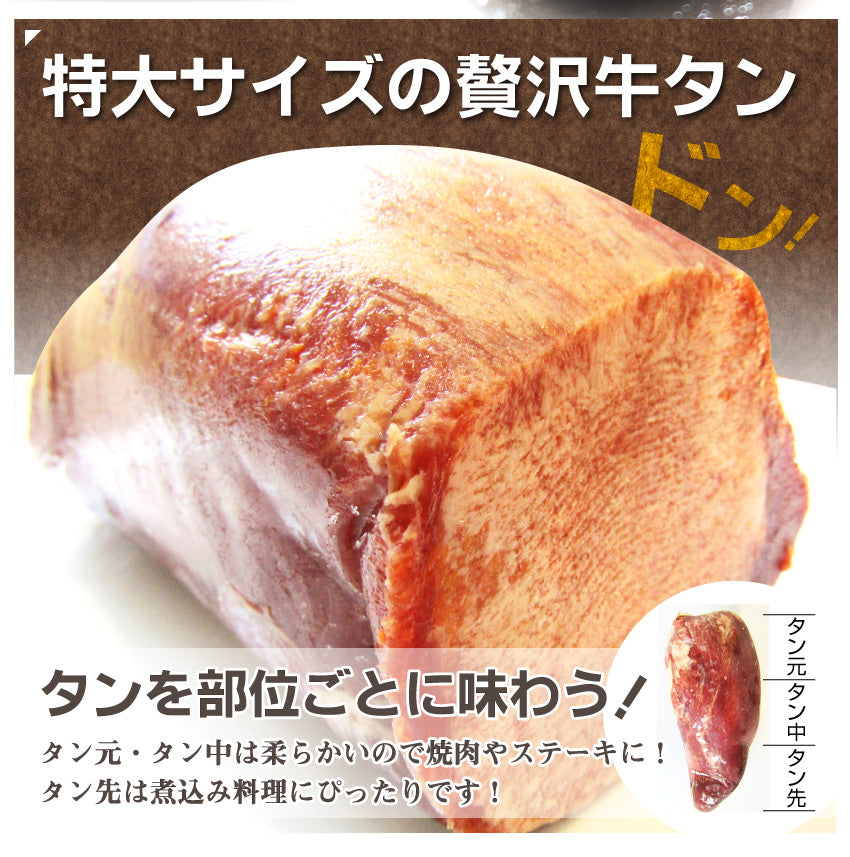 牛タン ブロック 約10kg前後 業務用 焼き肉 牛肉 タン 厚切り バーベキュー BBQ キャンプ キャンプ飯