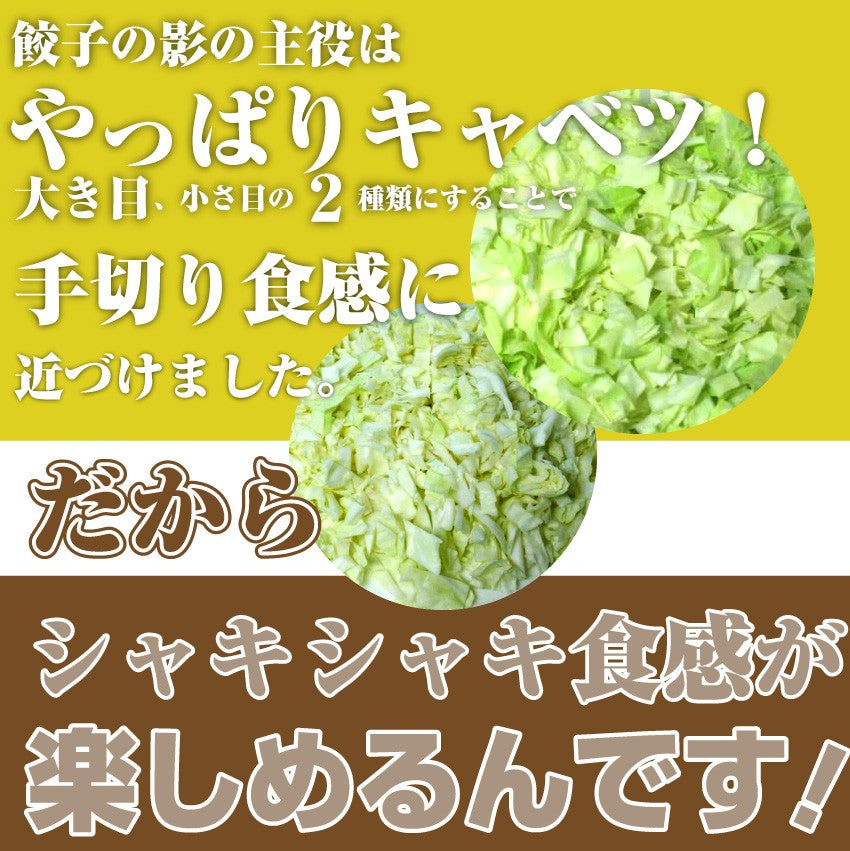 手作り 純生餃子 惣菜 30個入り 讃岐うどん 製法 こだわり ぎょうざ ギョウザ 餃子 焼くだけ おつまみ 冷凍弁当