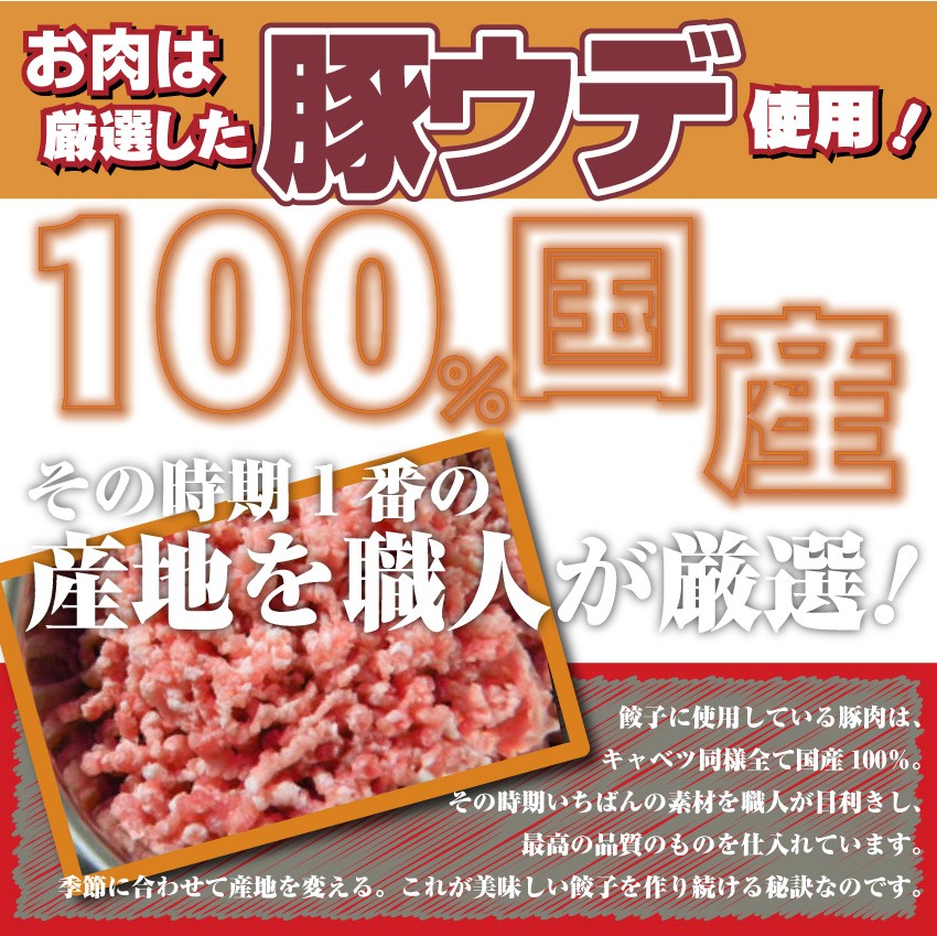 手作り 純生餃子 惣菜 30個入り 讃岐うどん 製法 こだわり ぎょうざ ギョウザ 餃子 焼くだけ おつまみ 冷凍弁当