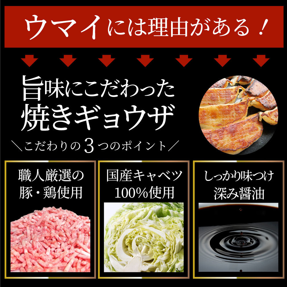 餃子 ギョウザ ギョーザ レンジ調理 中華 120個入り 3kg(1kg×3) 点心 中華料理 惣菜  温めるだけ 冷凍 惣菜 お弁当 あす楽 業務用 温めるだけ レンチン 冷食