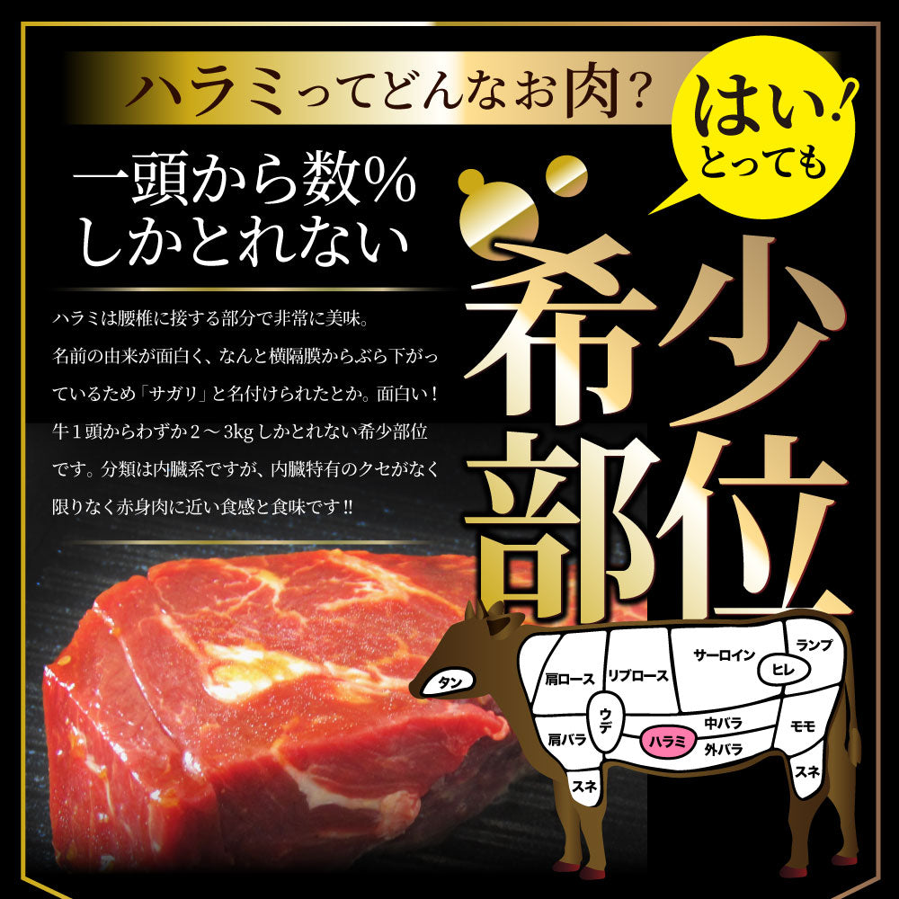 ステーキ ハラミ 牛ハラミ ブロック 焼肉 （タレ漬け）750g 3枚セット 赤身 はらみ