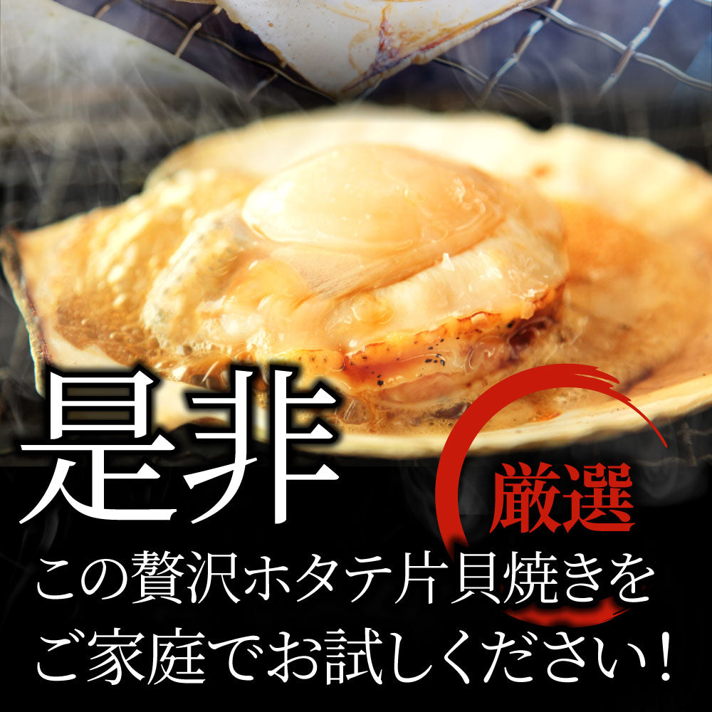 ホタテ ほたて 帆立 40枚入り 北海道産 バター焼き ほたて貝 バーベキュー BBQ 片貝 焼くだけ 業務用 国産 海鮮 シーフード 食品 グルメ  殻付き 送料無料