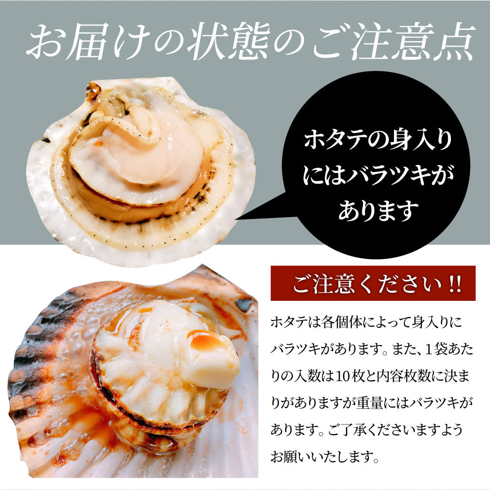 ホタテ ほたて 帆立 100枚入り 北海道産 バター焼き ほたて貝 バーベキュー BBQ 片貝 焼くだけ 業務用 国産 海鮮 シーフード 食品 グルメ 殻付き 送料無料