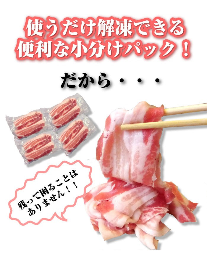 豚バラ肉 250ｇ スライス 焼肉 豚肉 250g×1パック 豚肉 バーベキュー 焼肉 スライス バラ 小分け 便利