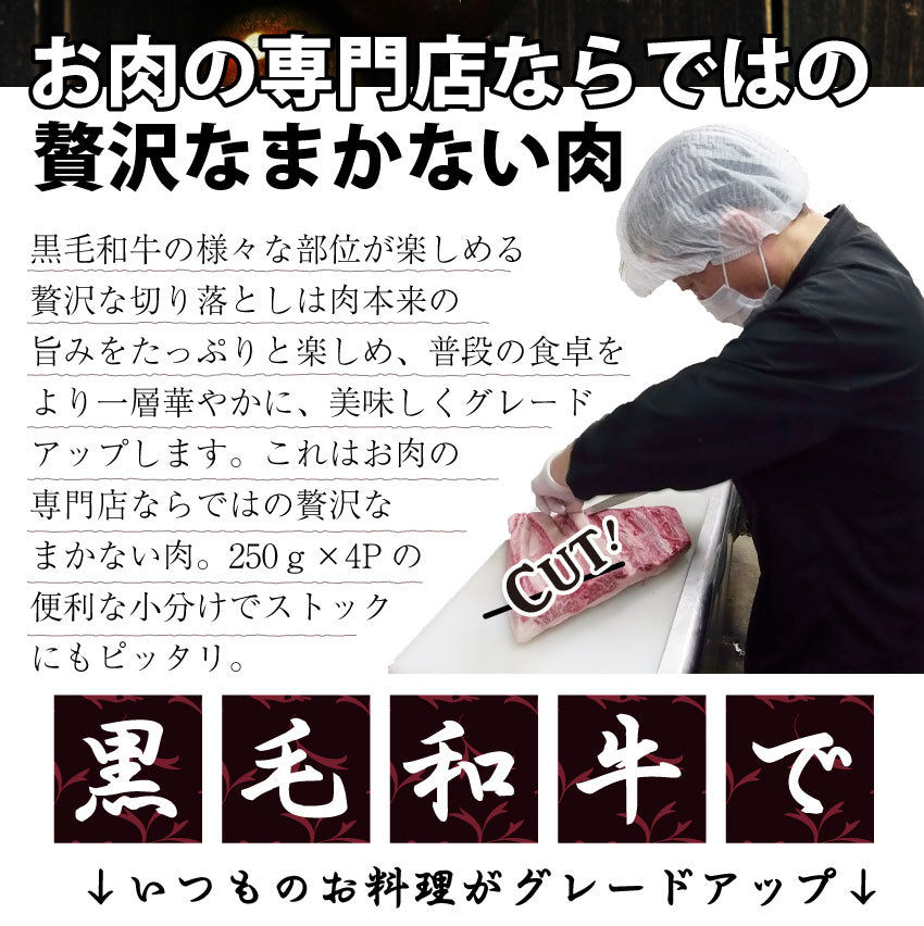 牛肉 肉 黒毛和牛 切り落とし 500g 250×2p 国産 贅沢 お中元 ギフト 食品 プレゼント 女性 男性 お祝い 新生活 霜降り メガ盛り