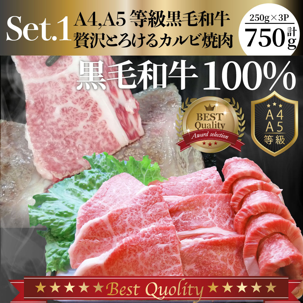 黒毛和牛 ＆ まるごと鰻 セット 6人前 肉 お中元 ギフト 食品 プレゼント 女性 男性 お祝い 新生活 カルビ 焼肉 A4 ～ A5等級 プレゼント 牛肉 贅沢