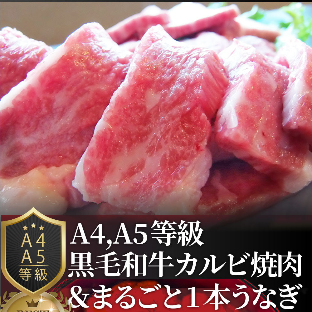 黒毛和牛 ＆ まるごと鰻 セット 6人前 肉 お中元 ギフト 食品 プレゼント 女性 男性 お祝い 新生活 カルビ 焼肉 A4 ～ A5等級 プレゼント 牛肉 贅沢