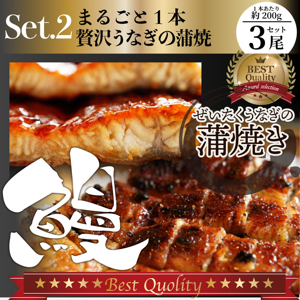 黒毛和牛 ＆ まるごと鰻 セット 6人前 肉 お中元 ギフト 食品 プレゼント 女性 男性 お祝い 新生活 カルビ 焼肉 A4 ～ A5等級 プレゼント 牛肉 贅沢