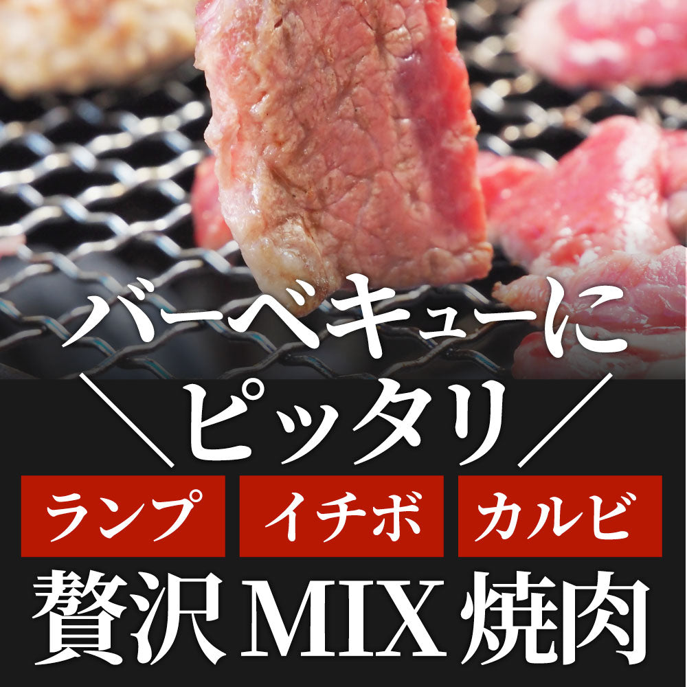 肉 焼肉 牛肉 国産牛入り ランプ＆カルビミックス焼肉1kg（500g×2P）赤身 贅沢 おトク お徳用 あす楽 肉 通販 グルメ アウトドア