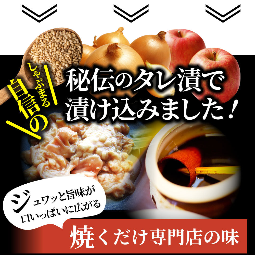三種 ホルモン ミックス 焼肉 5kg（250ｇ×20パック）秘伝 タレ漬け バーベキュー BBQ お花見 花見 肉 焼くだけ 冷凍キャンプ キャンプ飯