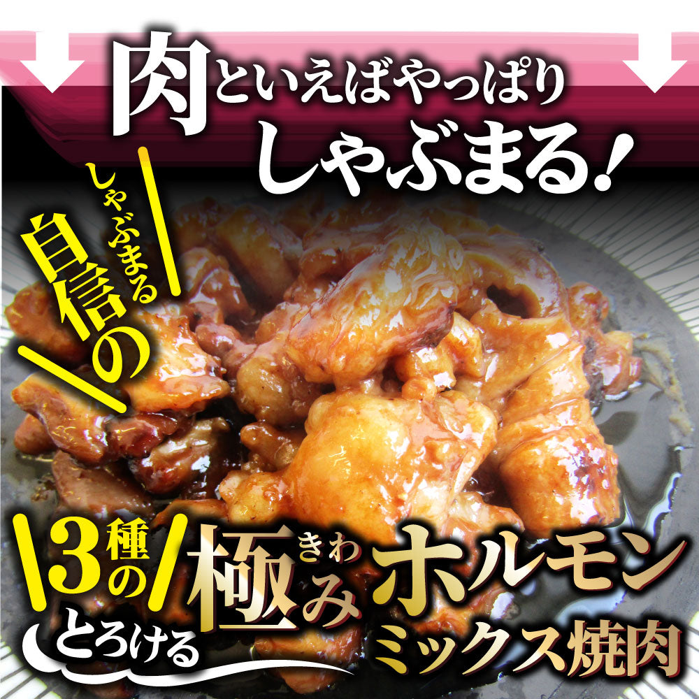 三種 ホルモン ミックス 焼肉 10kg（250ｇ×40パック）秘伝 タレ漬け バーベキュー BBQ お花見 花見 肉 焼くだけ 冷凍キャンプ キャンプ飯