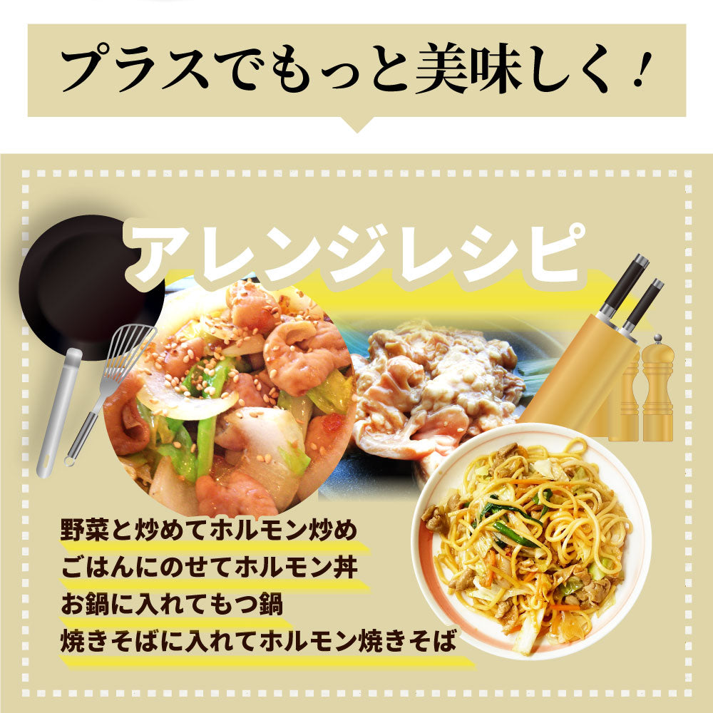 三種 ホルモン ミックス 焼肉 5kg（250ｇ×20パック）秘伝 タレ漬け バーベキュー BBQ お花見 花見 肉 焼くだけ 冷凍キャンプ キャンプ飯