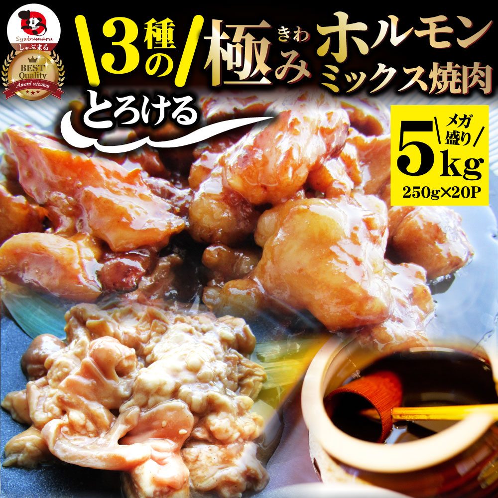 三種 ホルモン ミックス 焼肉 5kg（250ｇ×20パック）秘伝 タレ漬け バーベキュー BBQ お花見 花見 肉 焼くだけ 冷凍キャンプ キャンプ飯