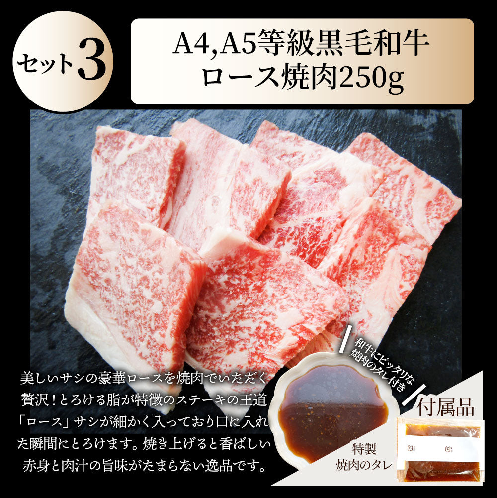 肉 福袋 黒毛和牛 オリーブ豚 食べ比べ 総重量1.9kg超 2023年 肉の福袋 「雅福袋―MIYABI-」牛肉 食品