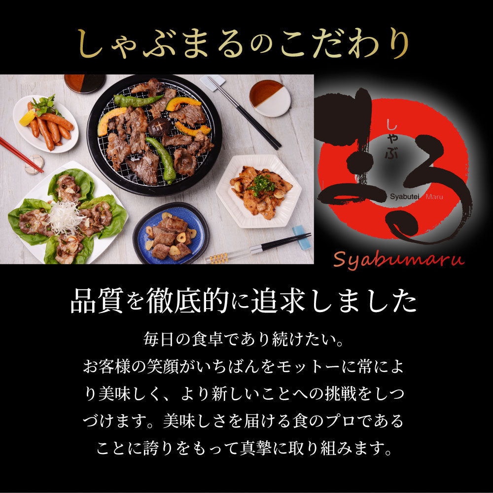 豚バラ 太ネギ巻き 6本（総重量600g超） とろけるネギ バーベキュー 肉 食材 セット BBQセット キャンプ キャンプ飯