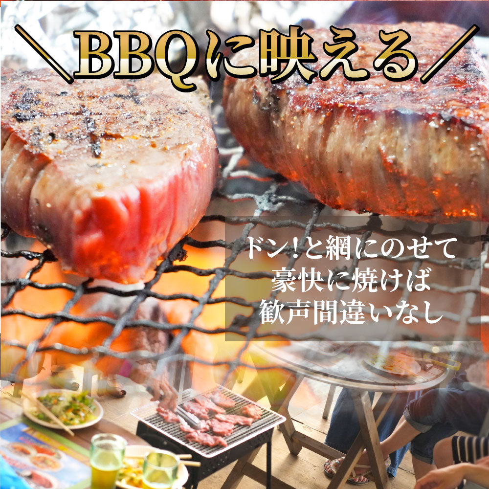 牛肉 ヒレ ステーキ 詰め合わせ 100g×2枚セット 赤身 牛 ヒレ肉 バーベキュー BBQ グルメ お中元 ギフト 食品 プレゼント キャンプ キャンプ飯