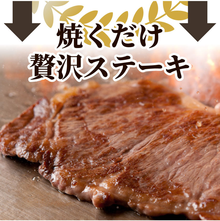 牛肉 肉 サーロイン ステーキ リッチな 赤身 贅沢 ステーキ セット 6枚 グルメ お中元 ギフト プレゼント 誕生日