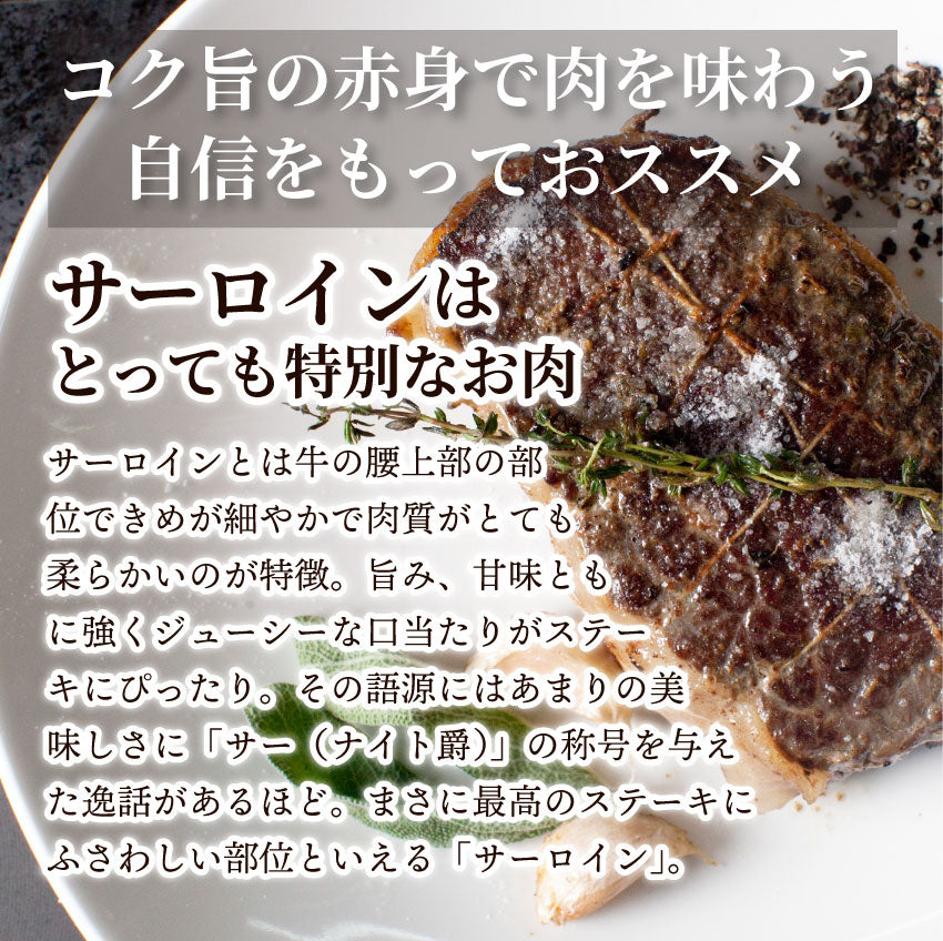 牛肉 肉 サーロイン ステーキ リッチな 赤身 贅沢 ステーキ セット 6枚 グルメ お中元 ギフト プレゼント 誕生日