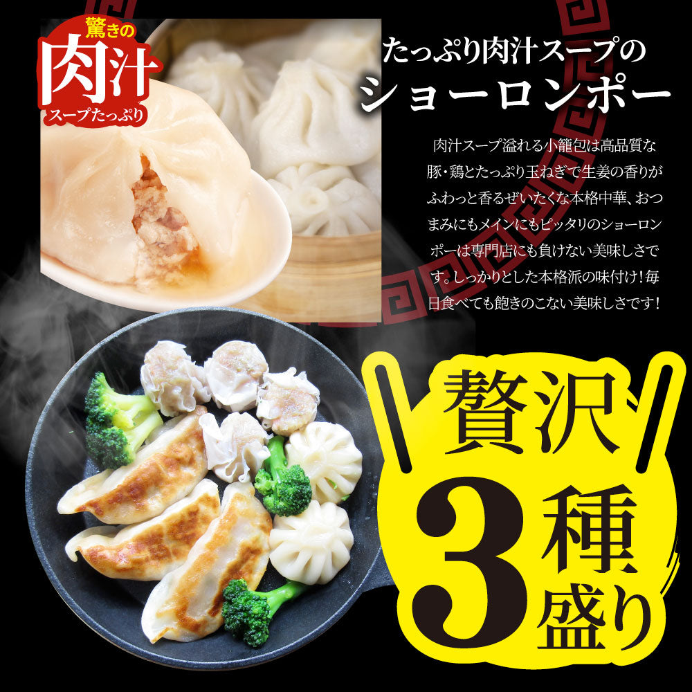 レンジDE中華3種 20食セット ギョウザ シューマイ 小籠包 点心 惣菜  冷凍 セット 餃子 焼売 小籠包 肉 母の日 新生活 ギフト 食べ物 食品 誕生日 プレゼント 通販 お取り寄せ グルメ 誕生日