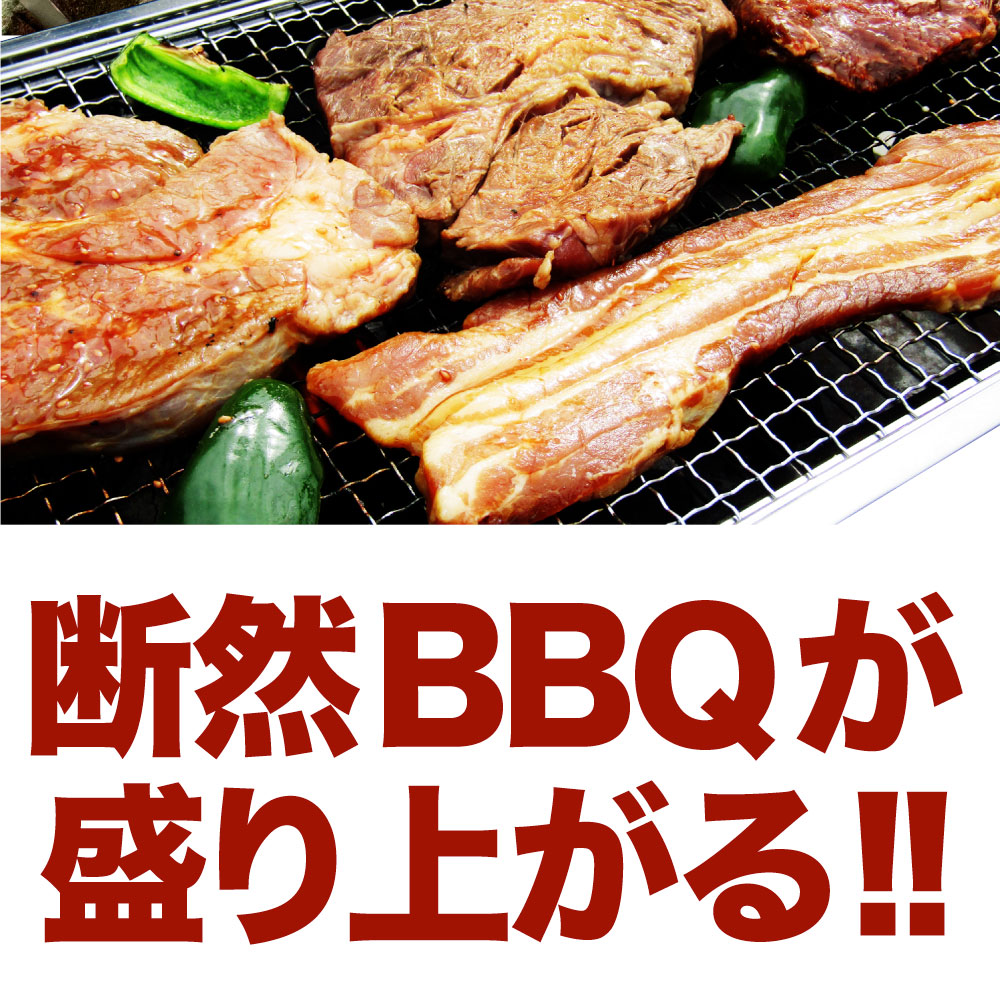 焼肉 セット 牛肉 肉 ステーキBBQ セット 約1.38kg 6種 福袋 1ポンド ステーキ 入り 豪快セット  お中元 ギフト キャンプ キャンプ飯