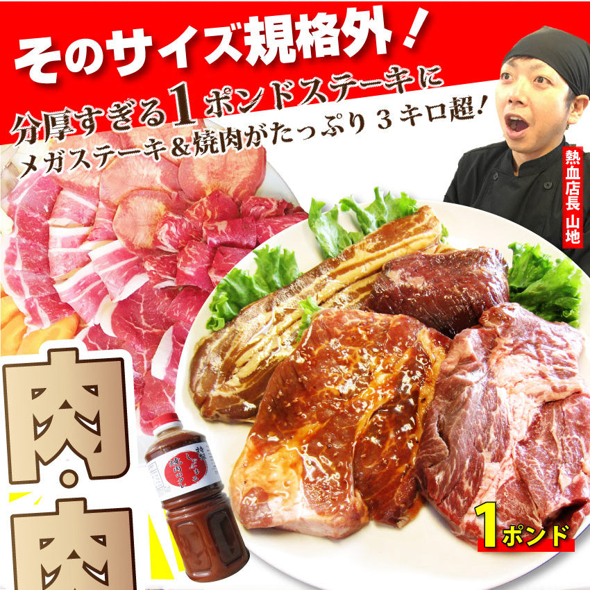 牛肉 肉 ステーキ＆焼肉 BBQ ギガ盛り 3kg超 福袋 肉祭り セット タレ ハサミ トング トレー付き お中元 ギフト 食品 プレゼント キャンプ キャンプ飯