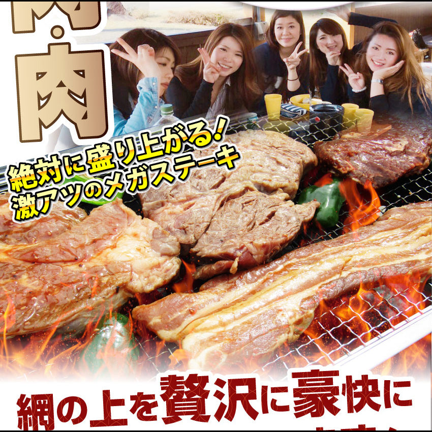 牛肉 肉 ステーキ＆焼肉 BBQ ギガ盛り 3kg超 福袋 肉祭り セット タレ ハサミ トング トレー付き お中元 ギフト 食品 プレゼント キャンプ キャンプ飯