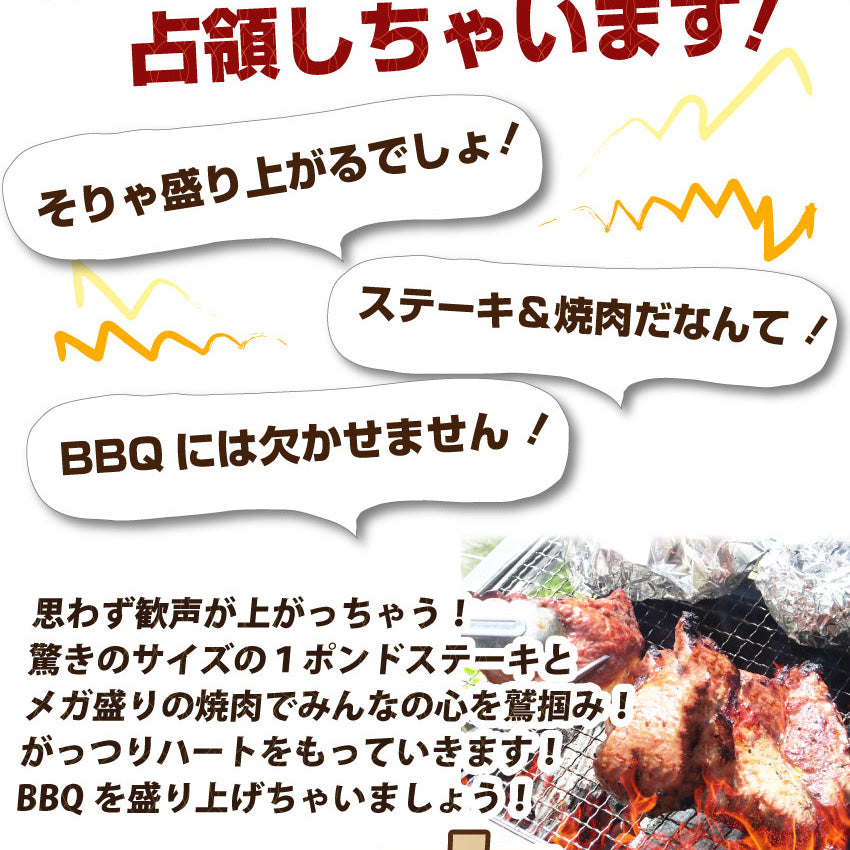 牛肉 肉 ステーキ＆焼肉 BBQ ギガ盛り 3kg超 福袋 肉祭り セット タレ ハサミ トング トレー付き お中元 ギフト 食品 プレゼント キャンプ キャンプ飯