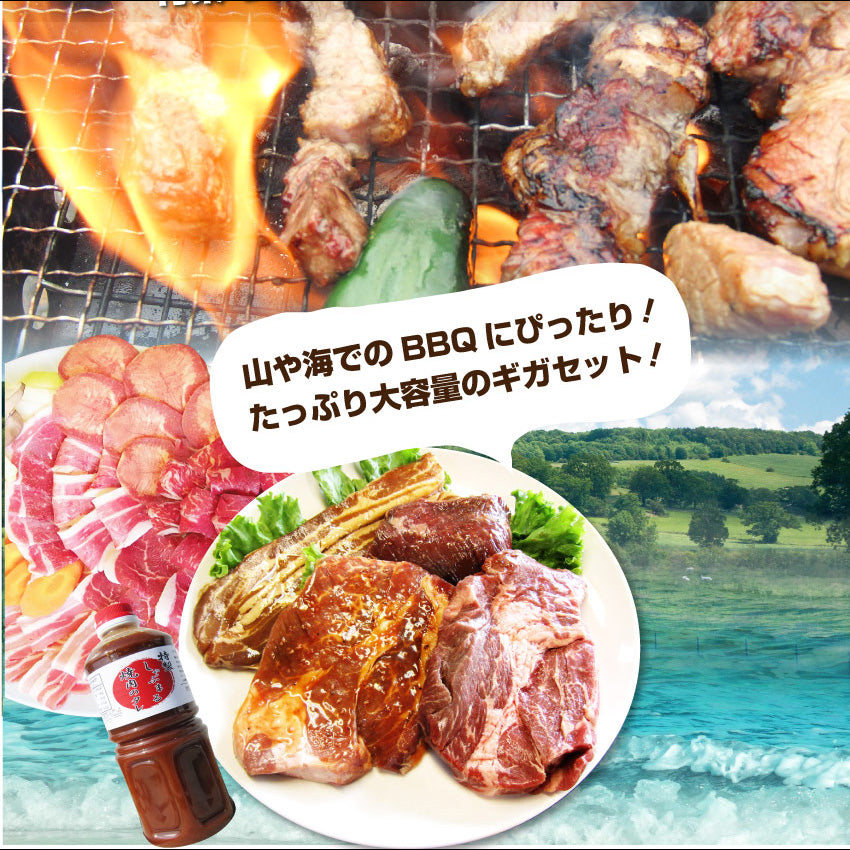 牛肉 肉 ステーキ＆焼肉 BBQ ギガ盛り 3kg超 福袋 肉祭り セット タレ ハサミ トング トレー付き お中元 ギフト 食品 プレゼント キャンプ キャンプ飯