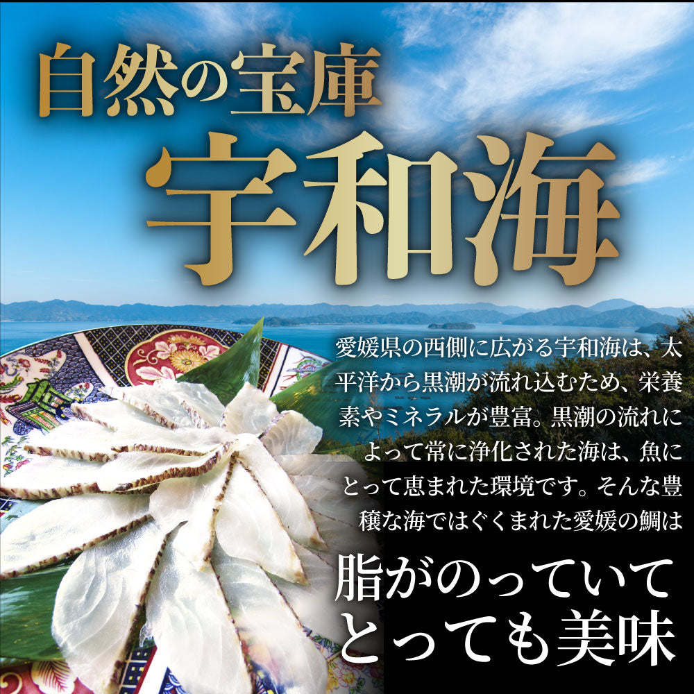 魚 鯛 しゃぶしゃぶセット 2人前 鯛しゃぶ たい 宇和島 愛媛 宇和海 讃岐うどん 鍋 お中元 ギフト 食品 プレゼント 女性 男性 お祝い 新生活