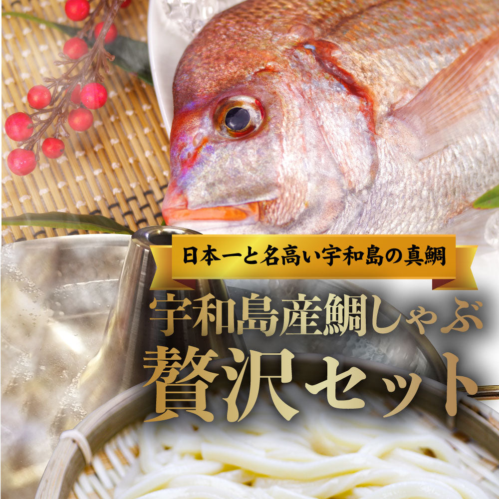 魚 鯛 しゃぶしゃぶセット 2人前 鯛しゃぶ たい 宇和島 愛媛 宇和海 讃岐うどん 鍋 お中元 ギフト 食品 プレゼント 女性 男性 お祝い 新生活