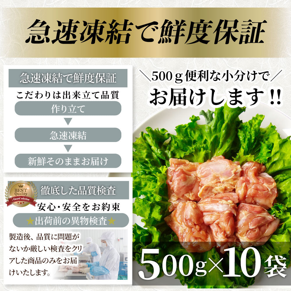 照り焼き チキン 鶏もも 肉 惣菜 メガ盛り 5kg 500g×10 焼くだけ ご飯にも お酒にも 冷凍弁当