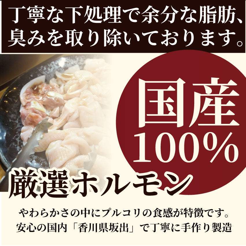 坂出ホルモン焼き スタミナ 国産 豚テッチャン 3kg (250g×12P) 焼肉 BBQ ホルモン焼き グルメ もつ キャンプ キャンプ飯＊送料無料