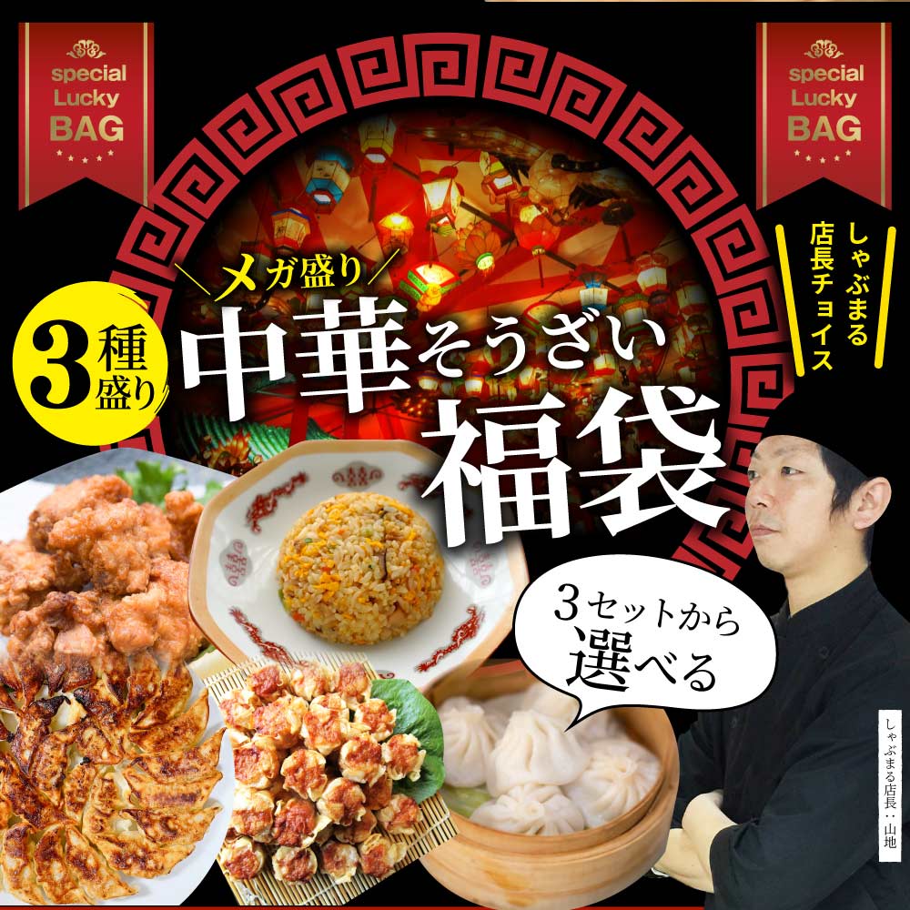 中華 点心 惣菜 《総重量最大3kg》 福袋 冷凍 セット 3種から選べるセット 餃子 焼売 小籠包 唐揚げ チャーハン 焼飯  肉 お中元 ギフト 食べ物 誕生日 あす楽