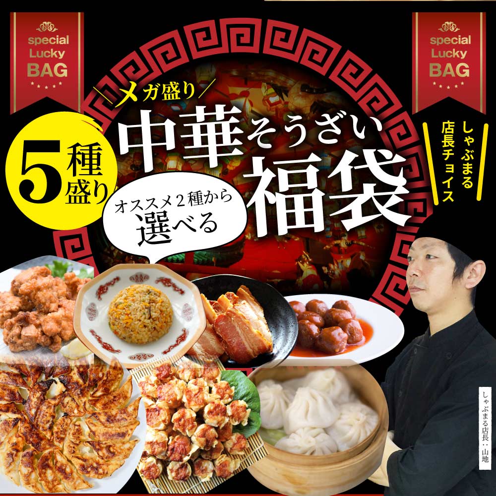 中華 点心 惣菜 《総重量最大4.5kg》 福袋 冷凍 セット 2種から選べるセット 餃子 焼売 小籠包 唐揚げ チャーハン 焼飯 肉団子 焼豚 肉 お中元 ギフト 2022