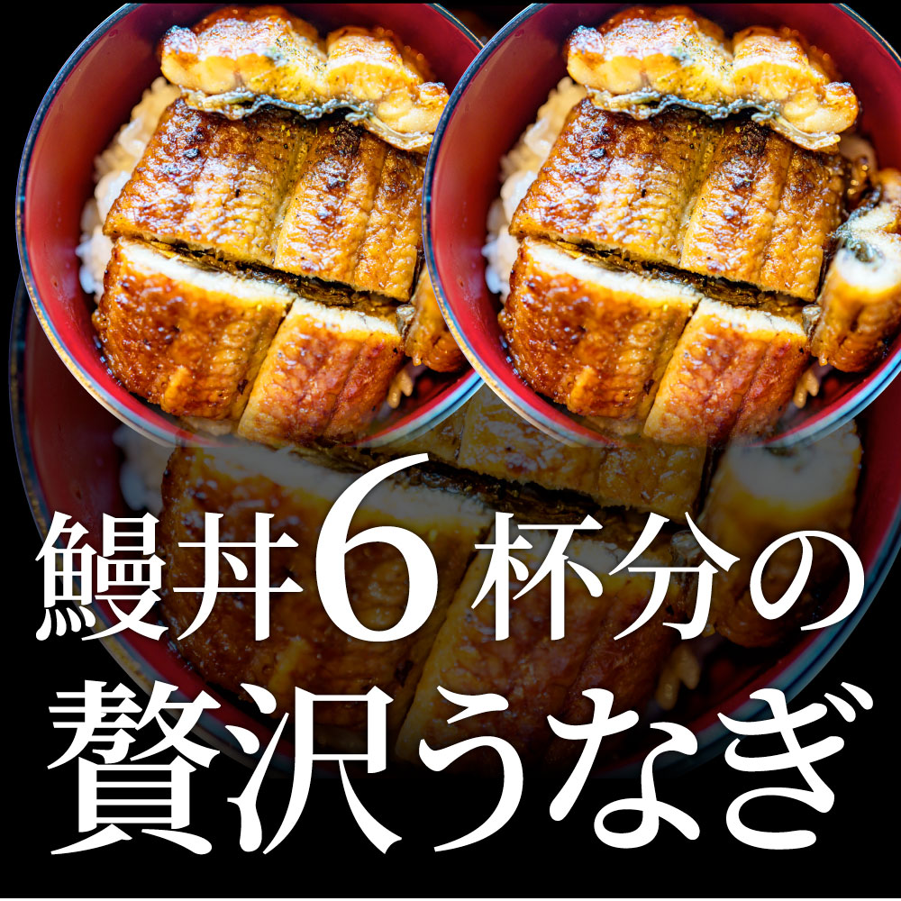 うなぎ蒲焼 3本入り（約200ｇ×3）たれ・山椒付き 鰻 かば焼き 土用 丑の日 湯煎 レンジOK 簡単解凍するだけ 惣菜 冷凍当日発送
