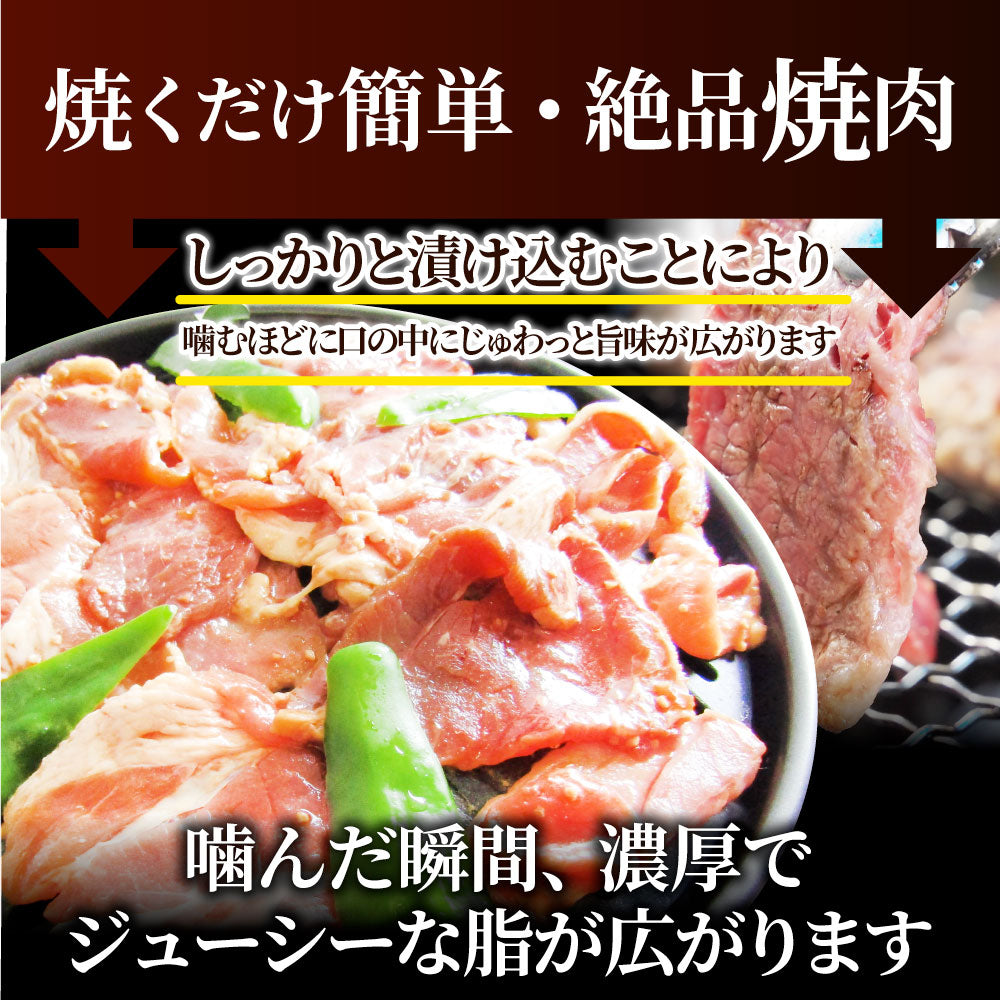 焼肉 ざんまい 牛豚鶏よくばり焼肉ミックス 1kg（500g×2） おトク お徳用 送料無料 肉 通販 お取り寄せ グルメ アウトドア お家焼肉 レジャー 送料無料 バーベキュー 肉 セット バーベキューセット キャンプ キャンプ飯