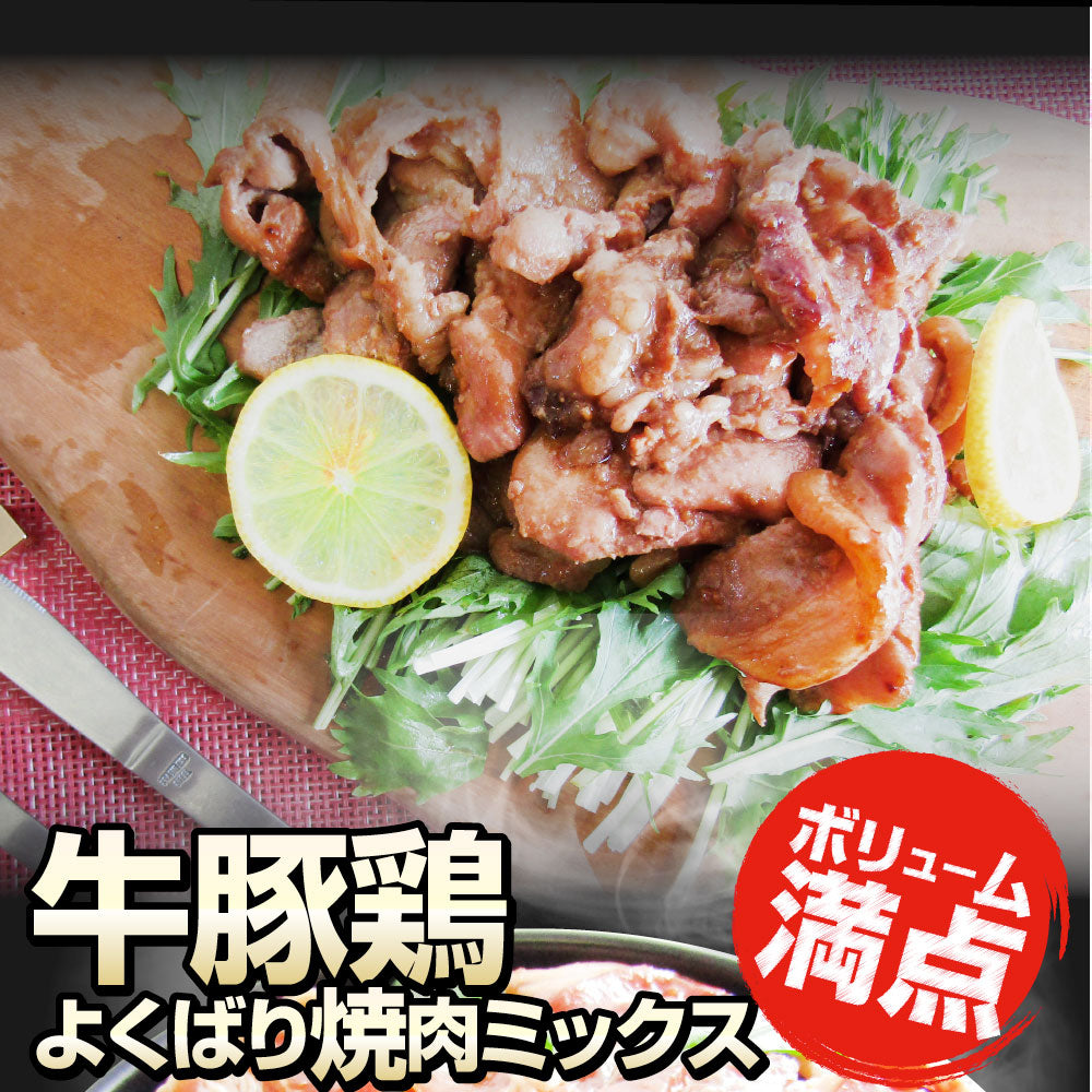 焼肉 ざんまい 牛豚鶏よくばり焼肉ミックス 1kg（500g×2） おトク お徳用 送料無料 肉 通販 お取り寄せ グルメ アウトドア お家焼肉 レジャー 送料無料 バーベキュー 肉 セット バーベキューセット キャンプ キャンプ飯