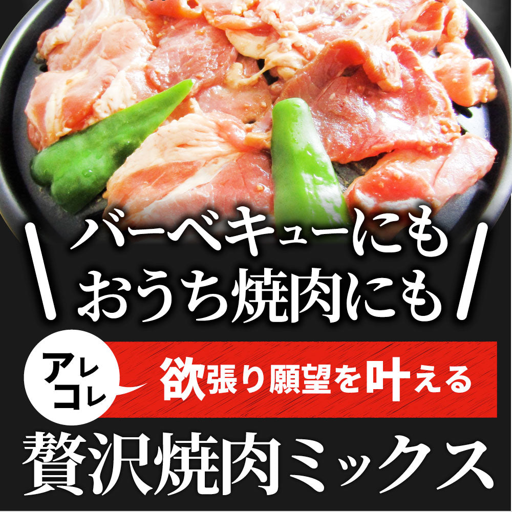 焼肉 ざんまい 牛豚鶏よくばり焼肉ミックス 1kg（500g×2） おトク お徳用 送料無料 肉 通販 お取り寄せ グルメ アウトドア お家焼肉 レジャー 送料無料 バーベキュー 肉 セット バーベキューセット キャンプ キャンプ飯