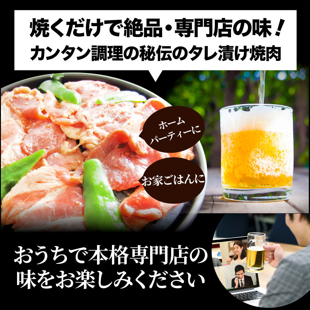 焼肉 ざんまい 牛豚鶏よくばり焼肉ミックス 1kg（500g×2） おトク お徳用 送料無料 肉 通販 お取り寄せ グルメ アウトドア お家焼肉 レジャー 送料無料 バーベキュー 肉 セット バーベキューセット キャンプ キャンプ飯