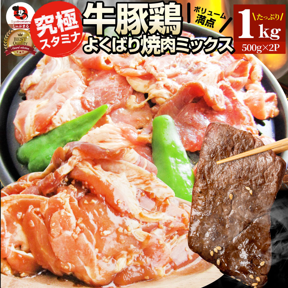 焼肉 ざんまい 牛豚鶏よくばり焼肉ミックス 1kg（500g×2） おトク お徳用 送料無料 肉 通販 お取り寄せ グルメ アウトドア お家焼肉 レジャー 送料無料 バーベキュー 肉 セット バーベキューセット キャンプ キャンプ飯