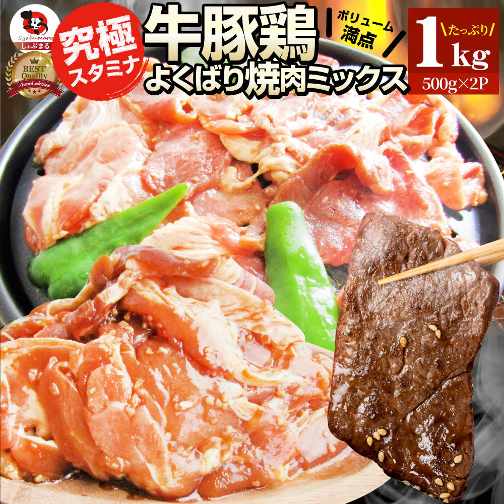 焼肉 ざんまい 牛豚鶏よくばり焼肉ミックス 1kg（500g×2） おトク お徳用 送料無料 肉 通販 お取り寄せ グルメ アウトドア お家焼肉 レジャー 送料無料 バーベキュー 肉 セット バーベキューセット キャンプ キャンプ飯