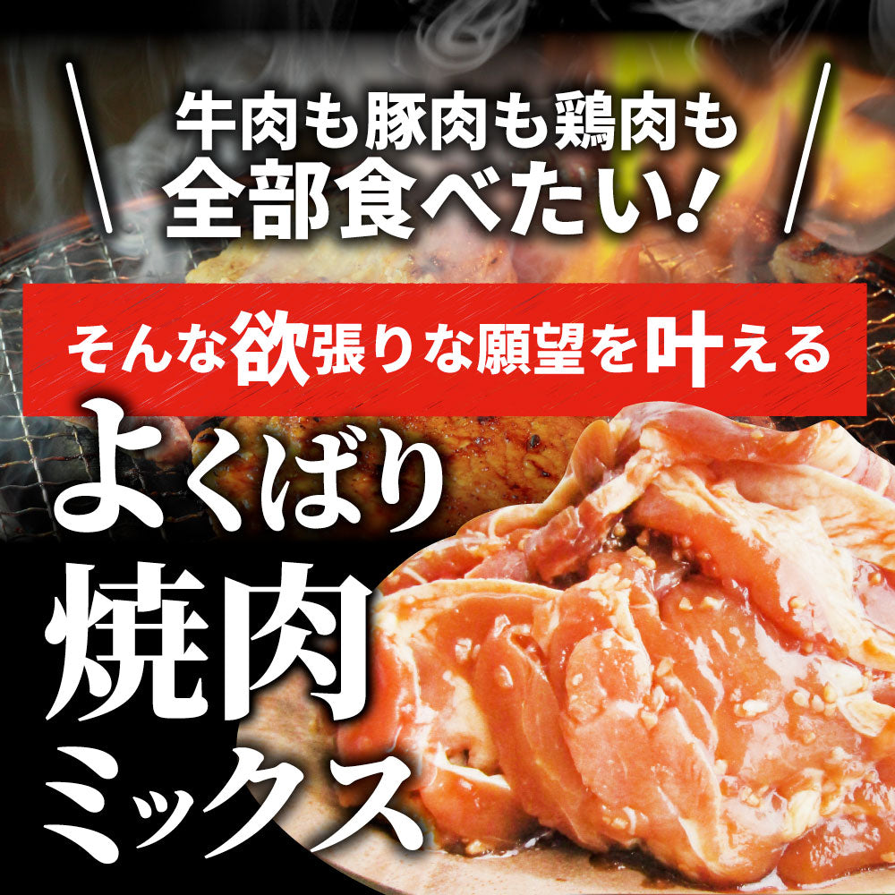 焼肉 ざんまい 牛豚鶏よくばり焼肉ミックス 1kg（500g×2） おトク お徳用 送料無料 肉 通販 お取り寄せ グルメ アウトドア お家焼肉 レジャー 送料無料 バーベキュー 肉 セット バーベキューセット キャンプ キャンプ飯