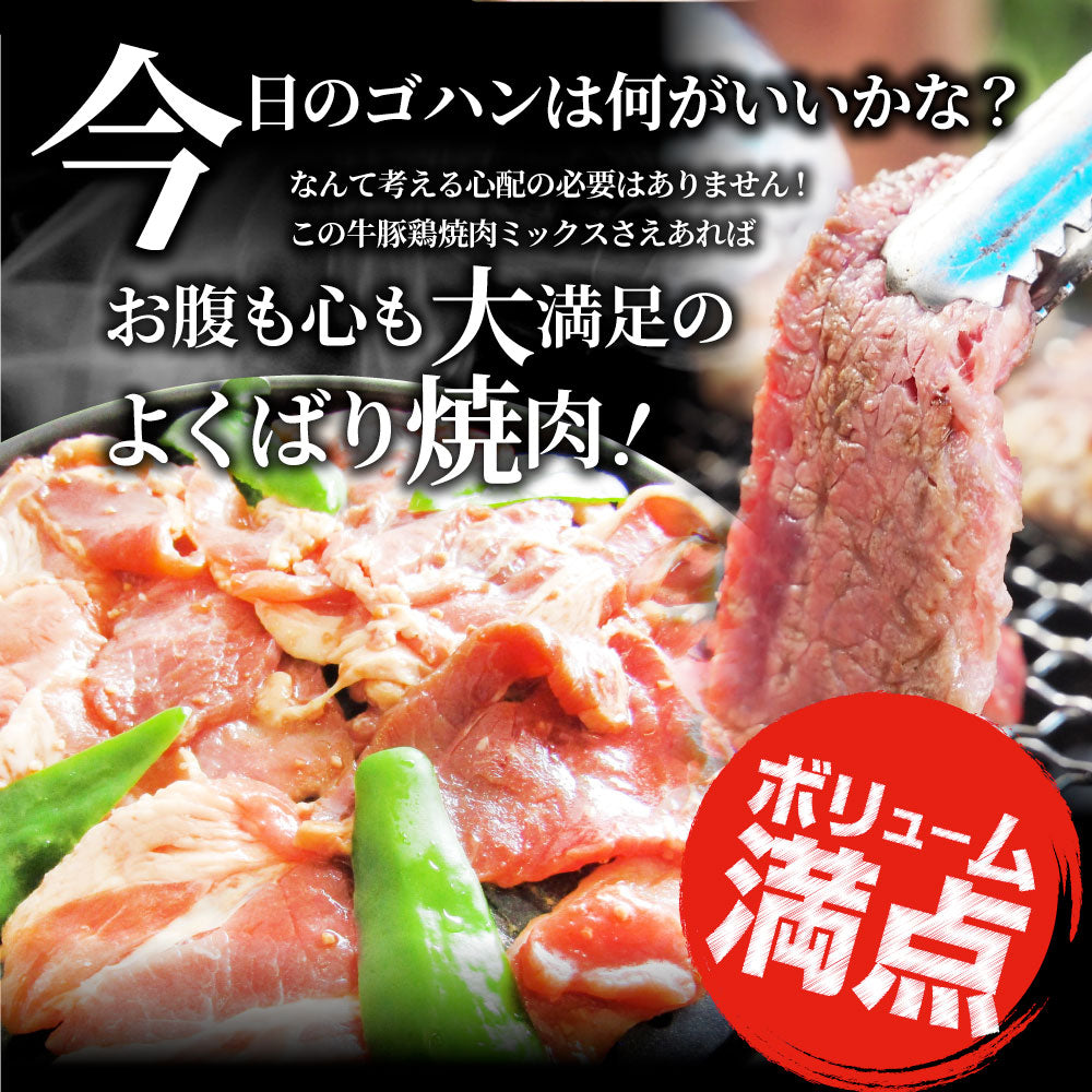 焼肉 ざんまい 牛豚鶏よくばり焼肉ミックス 1kg（500g×2） おトク お徳用 送料無料 肉 通販 お取り寄せ グルメ アウトドア お家焼肉 レジャー 送料無料 バーベキュー 肉 セット バーベキューセット キャンプ キャンプ飯